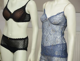 Naailessen Lingerie beginner/gevorderd